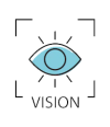 vision